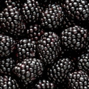 Αρχική 23 Αρχική 22